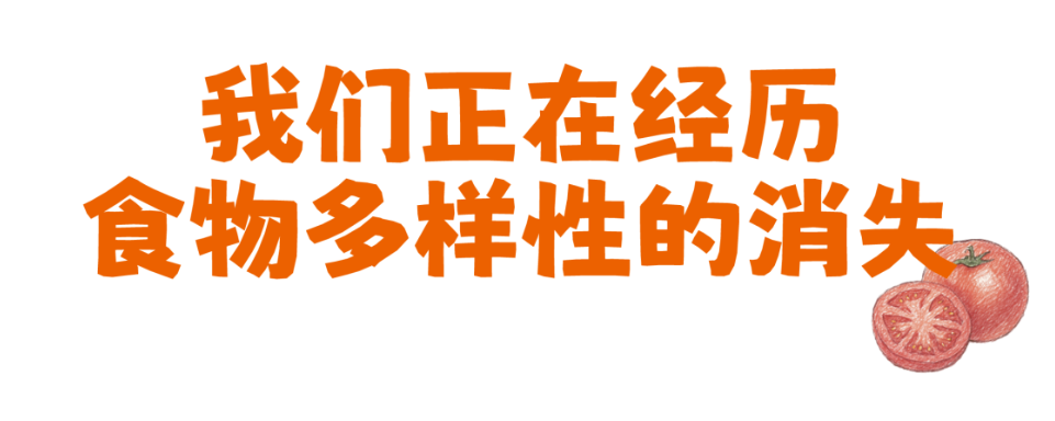 1780558773619472.png 1780558773619472.png